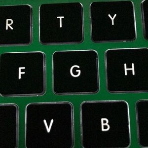 Meet your Posher, Annabel